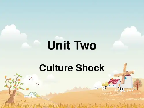 Unit 2 Culture Shock