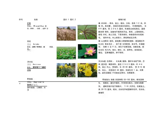 植物配置表0001