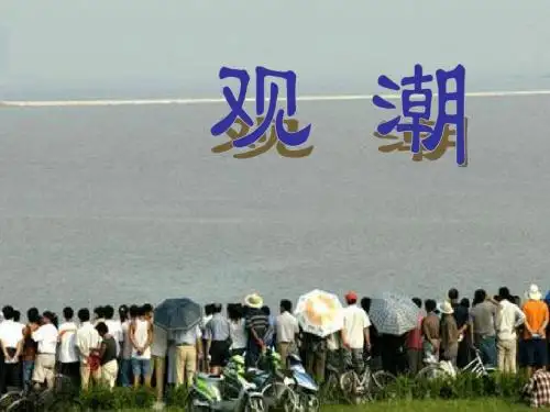 人教版四年级语文上册全册课件