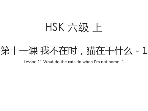对外汉语标准教程6上 课件 第11课