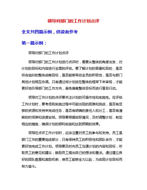 领导对部门的工作计划点评