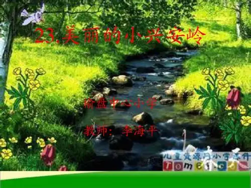 三年级语文上册23课美丽的小兴安岭课件