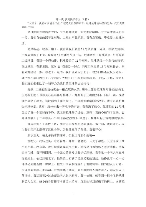 那一次,我真快乐作文(5篇)