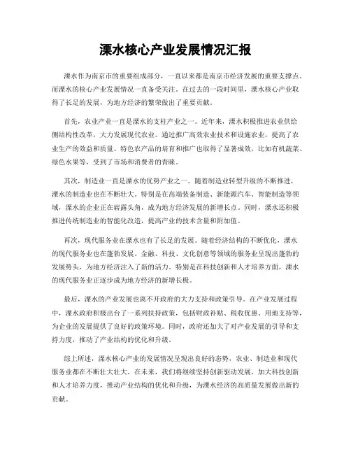 溧水核心产业发展情况汇报