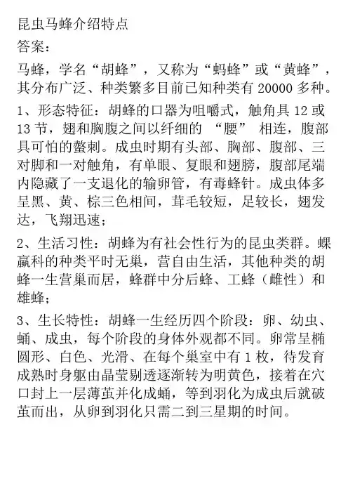 昆虫马蜂介绍特点