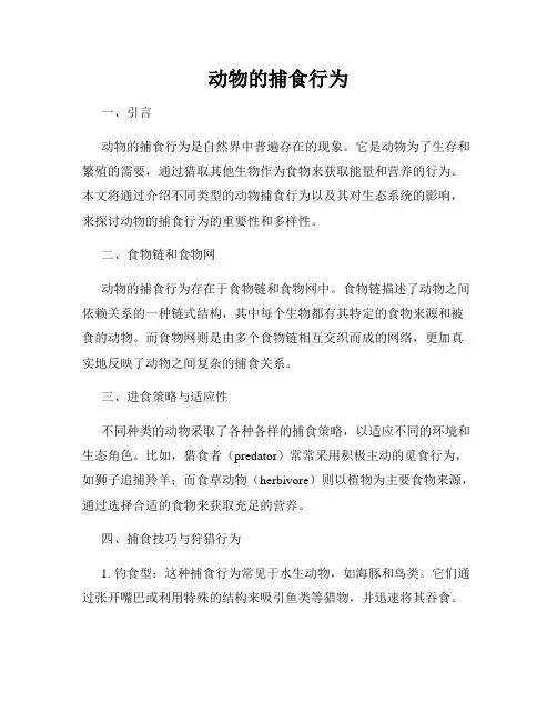 动物的捕食行为
