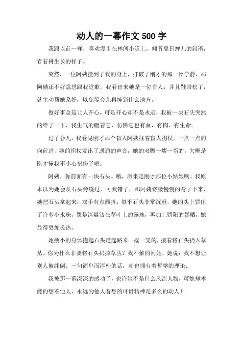 动人的一幕作文500字(精编版)