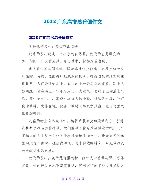 2023广东高考满分作文