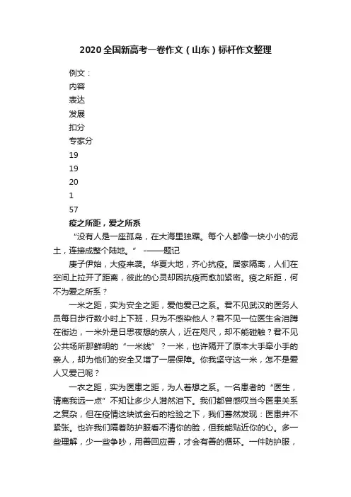 2020全国新高考一卷作文（山东）标杆作文整理