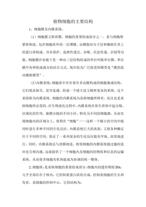 植物细胞的主要结构