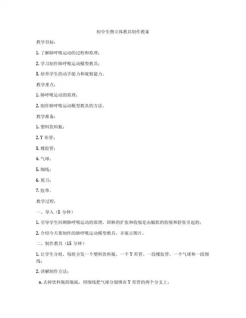 初中生物立体教具制作教案