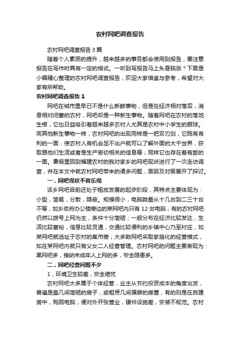 农村网吧调查报告3篇