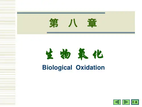 生物化学之生物氧化(唐炳华)