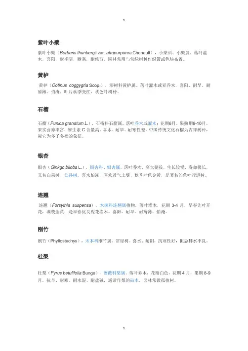 树种类介绍