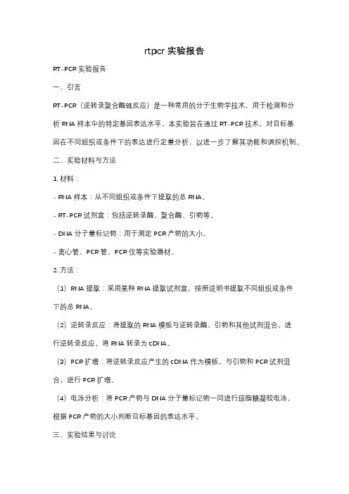 rtpcr实验报告