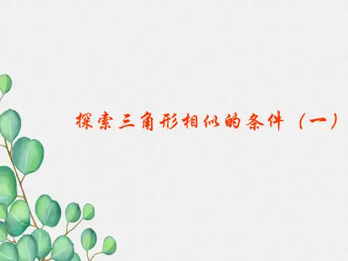 《探索三角形相似的条件》PPT课件 (公开课)2022年北师大版 (5)