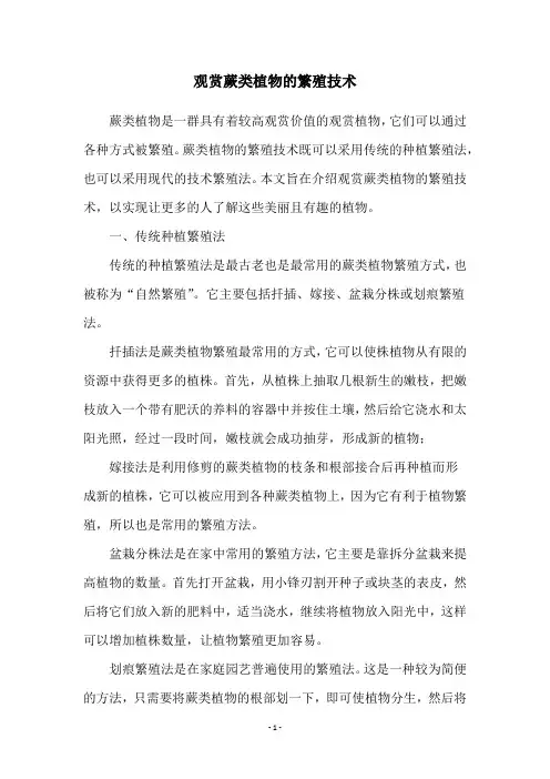 观赏蕨类植物的繁殖技术
