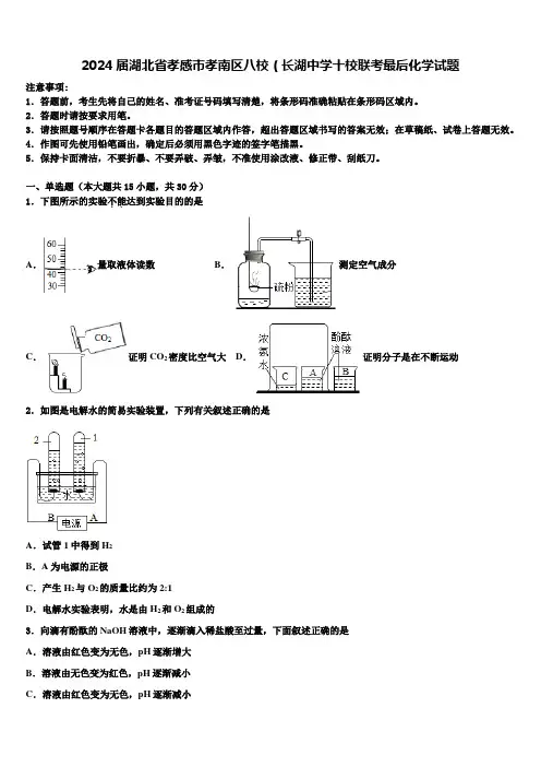2024届湖北省孝感市孝南区八校(长湖中学十校联考最后化学试题含解析