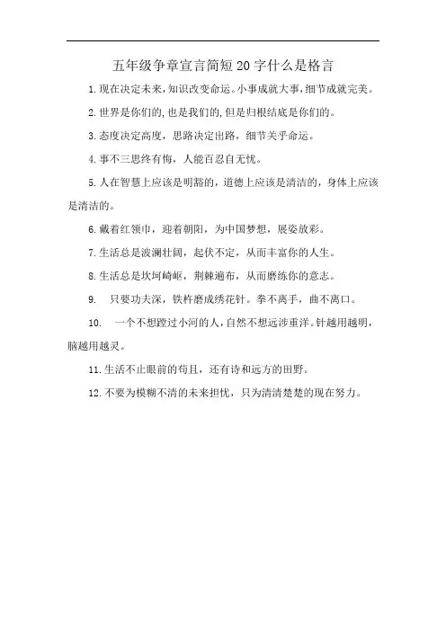 五年级争章宣言简短20字什么是格言