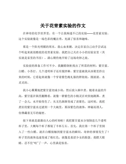 关于花青素实验的作文