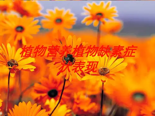 植物营养植物缺素症状表现培训课件