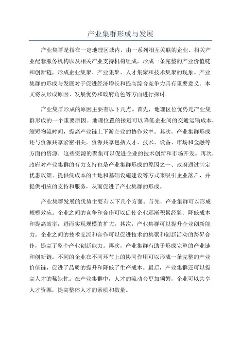 产业集群形成与发展