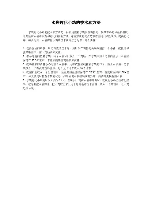 水袋孵化小鸡的技术和方法