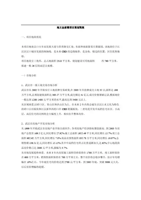 XX墩项目策划简案