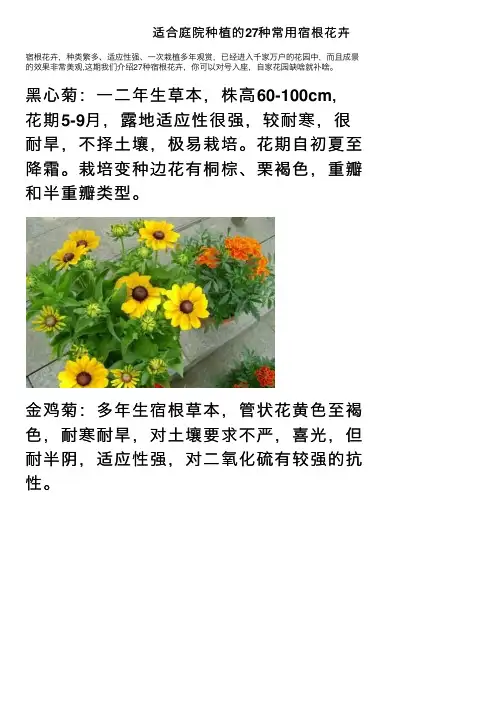 适合庭院种植的27种常用宿根花卉