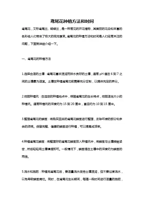 鸢尾花种植方法和时间