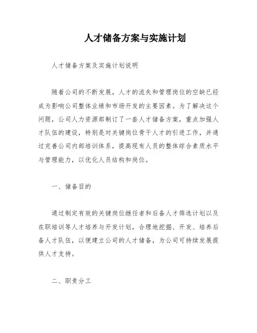 人才储备方案与实施计划
