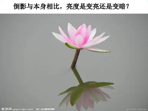 新苏科版八年级物理上册光的折射上课课件