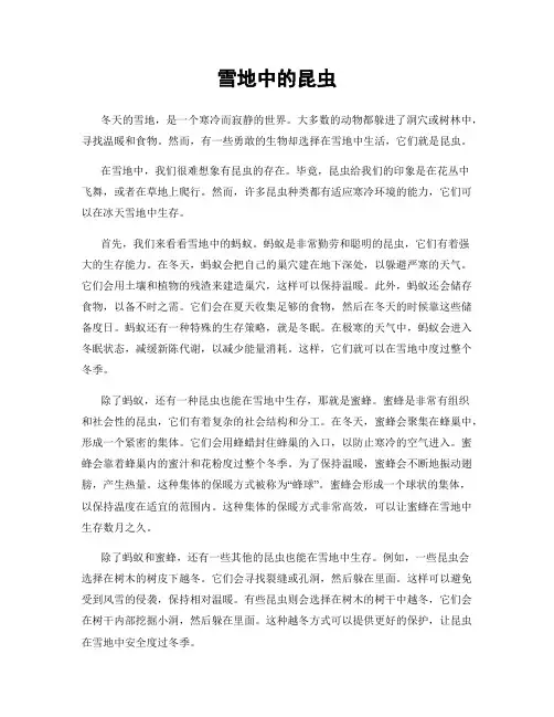 雪地中的昆虫