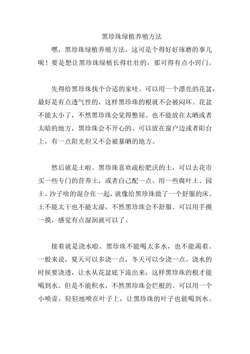 黑珍珠绿植养殖方法