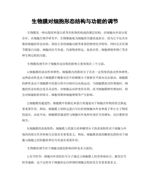生物膜对细胞形态结构与功能的调节