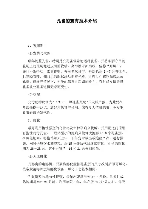 孔雀的繁育技术介绍