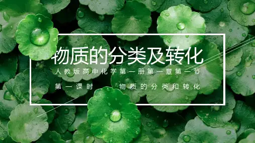 1-1-1物质的分类和转化(教学课件)——上学期高一化学人教版(2019)必修第一册