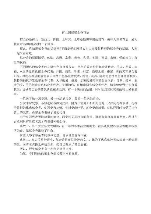 荷兰国花郁金香花语
