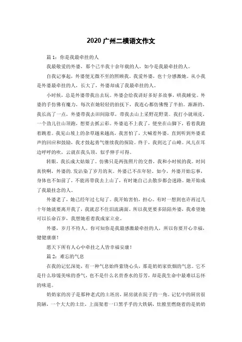 2020广州二模语文作文