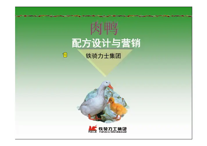 肉鸭的饲料配制
