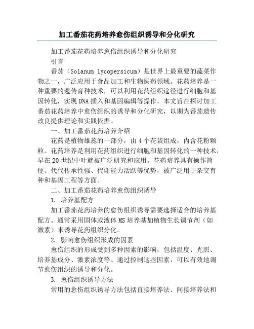 加工番茄花药培养愈伤组织诱导和分化研究