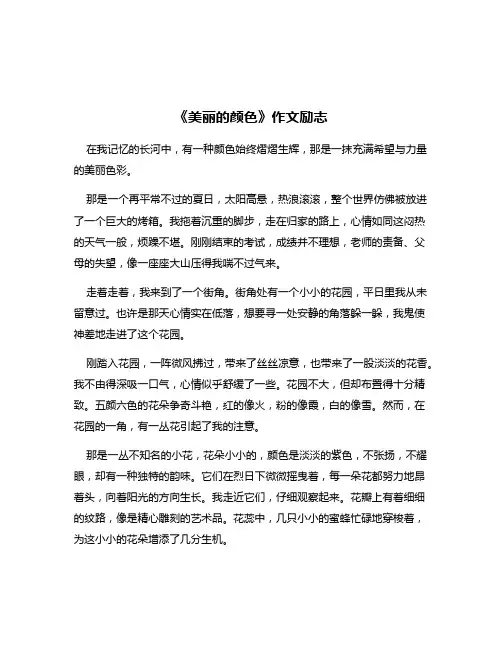 《美丽的颜色》作文励志