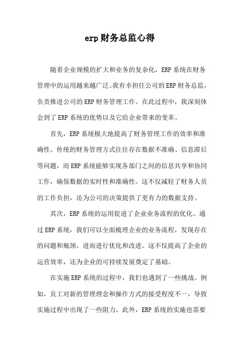 erp财务总监心得