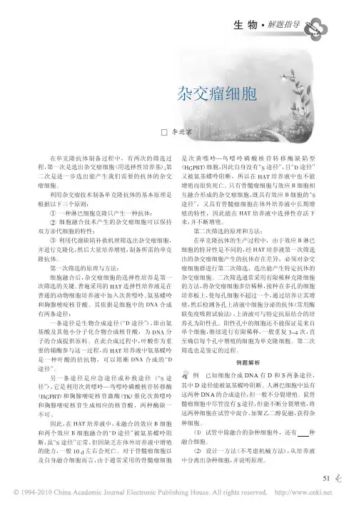 单克隆抗体制备中杂交瘤细胞的筛选