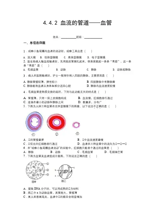 4.4.2血流的管道——血管-(人教版)(原卷版)