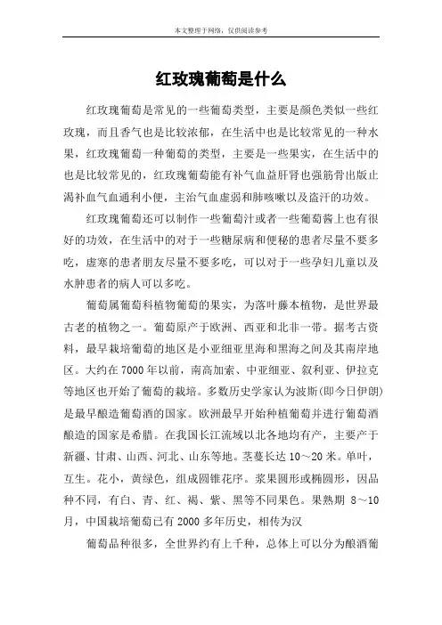 红玫瑰葡萄是什么