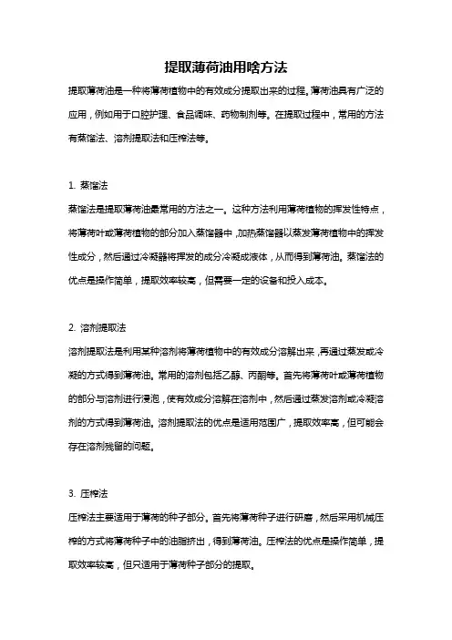 提取薄荷油用啥方法