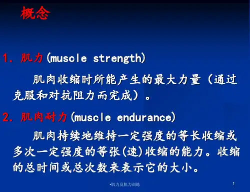 肌力及肌力训练