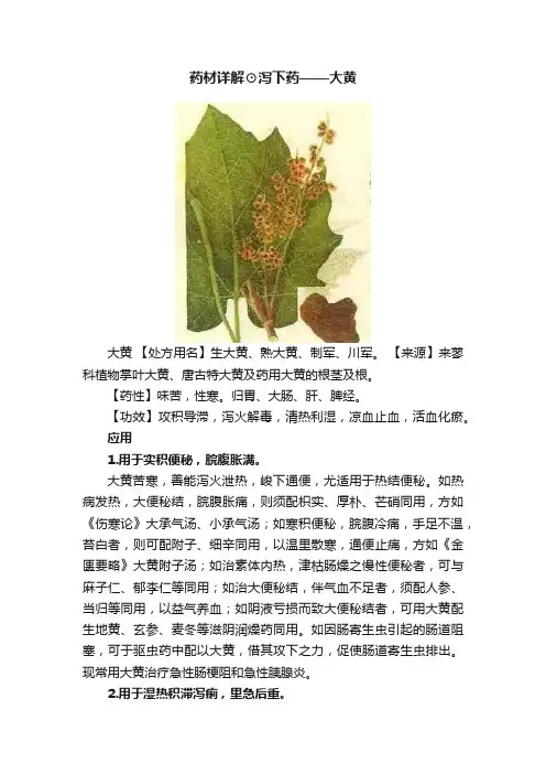 药材详解⊙泻下药——大黄