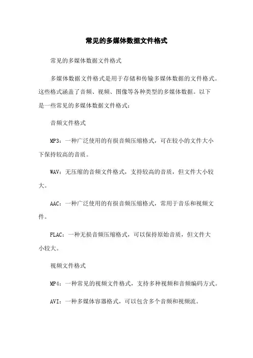 常见的多媒体数据文件格式